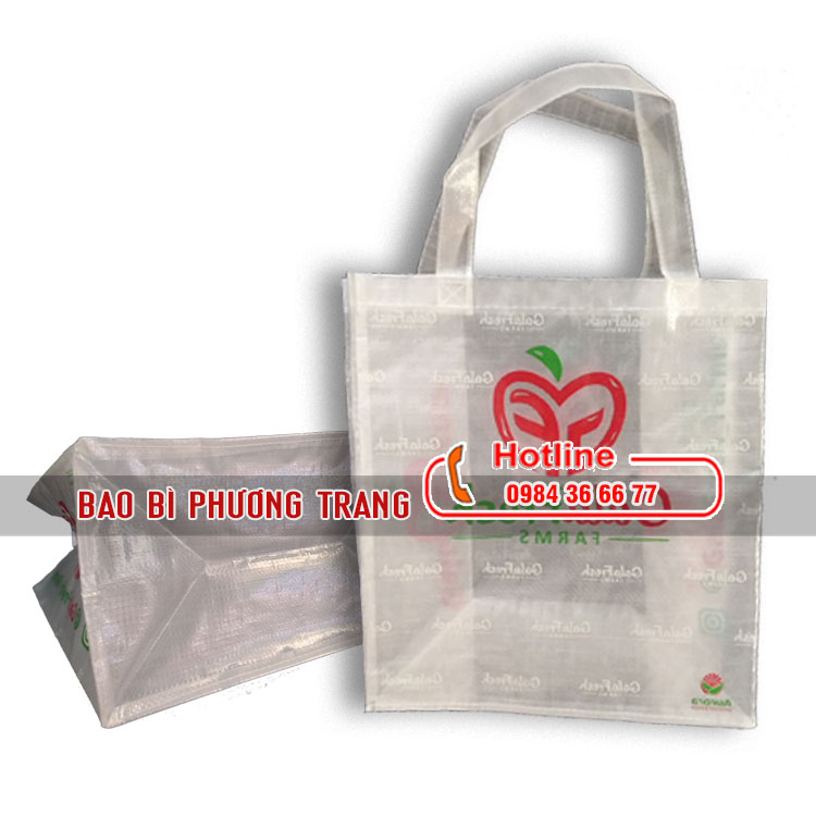 Túi PP cán màng trong mờ in ấn cao cấp cho siêu thị